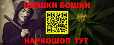 хмурый Бийск
