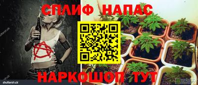 хмурый Берёзовский