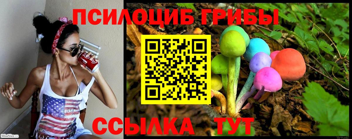 Бахчисарай  Псилоцибиновые грибы ЛСД  Вход с VPN  Галлюциногенные грибы Psilocybine cubensis 