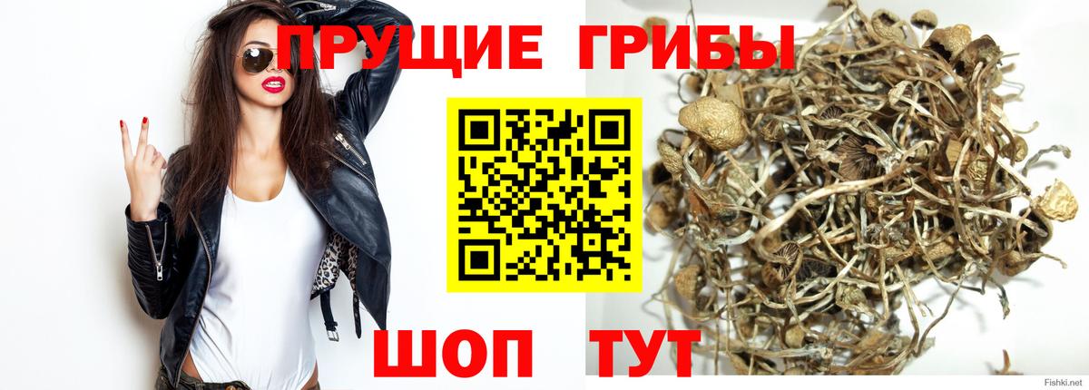 Галлюциногенные грибы прущие грибы Бахчисарай
